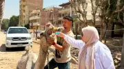 الزراعة: 201 قافلة بيطرية مجانية خدمت 79 ألف رأس ماشية في مايو