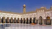 أزهري: الحرية ليست مطلقة والإسلام كفل حق إبداء الرأي بمسؤولية