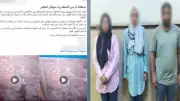 القبض على المتهمين بالتعدي على سيدة وابنها في الإسكندرية وعقوبتهم بالقانون