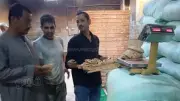 ضبط دقيق مدعم في حملات تموينية مكثفة ببني سويف