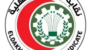 نقابة أطباء الدقهلية ترد على اتهامات وفاة طفل المنزلة وتؤكد تقديم الرعاية الكاملة