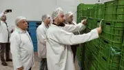 وزير الزراعة يصدر توجيهات عاجلة لضمان جودة الصادرات الزراعية المصرية