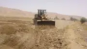الزراعة: نترات اليوريا تضر بالتربة والتسميد البلدي أفضل