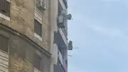 مريض نفسي يلقي الحجارة على المارة ويعطل المرور في الإسكندرية