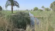 محافظ قنا يتفقد الخدمات بنقادة ويوجه بتطوير منظومة النظافة والطرق