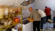 التحفظ على لحوم غير صالحة للاستهلاك في حملة تموينية ببني سويف