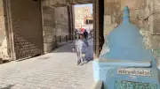 مقام 