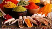 تطوير جديد في علاج السرطان باستخدام الخلايا المناعية