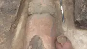 اكتشاف دفنة نادرة لخنزير في تل كوم عزيزة بالبحيرة