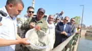 محافظ الشرقية يطلق مليون زريعة أسماك ببحر مويس بالزقازيق