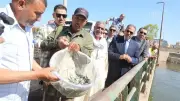 الشرقية تطلق مليون زريعة أسماك في بحر مويس لتعزيز الثروة السمكية