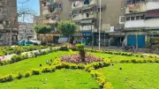 رفع كفاءة المسطحات الخضراء ببورسعيد للحفاظ على المظهر الحضاري
