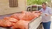 ضبط طن أسمدة مدعمة ممنوعة في السوق السوداء بكفر الشيخ
