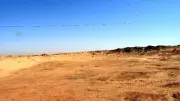 محافظ أسوان يتفقد موقع حضانة السيارات المخالفة بطريق أبو سمبل