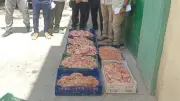 ضبط نصف طن لحوم غير صالحة ومذبوحة خارج المجازر في المنيا