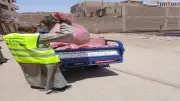 تنفيذ أعمال نظافة وتسوية وتمهيد في قرى قنا ضمن مشروع المسار الأخضر