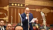 برلماني: خطة التنمية تتطلب مرونة وزيادة دور القطاع الخاص في ظل ظروف عالمية صعبة