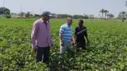 محافظ الفيوم يؤكد دعم القطاع الزراعي لتحقيق التنمية المستدامة