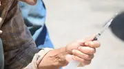 حملة مكثفة للتعامل مع الكلاب الضالة في بورفؤاد ونقلها إلى شيلتر القابوطي