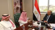 وزير الكهرباء يبحث مع أكوا باور السعودية تعزيز مشروعات الطاقة المتجددة