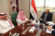 شراكة مصرية سعودية لتسريع تنفيذ مشروعات الطاقة المتجددة