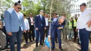 محافظ كفر الشيخ يزرع أشجاراً بقرية شباس عمير ضمن مبادرة جميلة يا بلدي