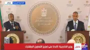 عبدالعاطي: إريتريا تعتبر مصر شريكا استراتيجيا في مسيرة التطوير والتحديث