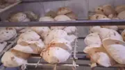 البرلمان: الخبز المدعم خارج منظومة التحول للدعم النقدي