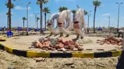 رفع كفاءة الحدائق والمتنزهات بمصيف بلطيم استعدادا للموسم الصيفي
