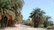 محافظ أسوان يحيل واقعة كسر خطي مياه بقرية منيحة للنيابة العامة