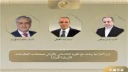 وزير الخارجية يؤكد دعم مصر لجهود التوصل لاتفاق لوقف الحرب