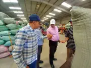 محافظ أسيوط: توريد 241 ألف طن قمح منذ بداية الموسم