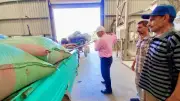 محافظ أسيوط: استقبال 241 ألف طن قمح محلي منذ بدء موسم التوريد