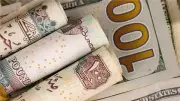 بلومبرج: الجنيه المصري أفضل عملات العالم أداءً أمام الدولار مع تدفقات قياسية