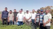 وكيل زراعة الوادي الجديد يتفقد حصاد العتر ويؤكد أهمية النباتات الطبية