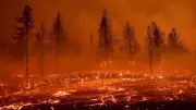 حرائق مبكرة تضرب اليونان.. إجلاء سكان في جزيرة يوبيا مع اقتراب النيران من المناطق السكنية