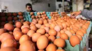 أخبار الاقتصاد اليوم: ارتفاع البيض والحديد والبورصة تربح 11 مليار جنيه