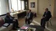 وزير الخارجية يبحث مع شركة يونانية مشروع الربط الكهربائي بين مصر واليونان