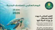 وزيرة البيئة: حماية السلاحف البحرية ضرورة للحفاظ على التنوع البيولوجي