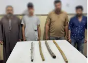 مشاجرة بالأسلحة البيضاء بين ولاد العم في البحيرة بسبب ملكية الأرض