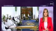 دبلوماسي سابق: زيارة رئيس الإمارات لمصر تعكس تنسيقا استراتيجيا مهما