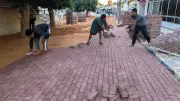 محافظ الجيزة يعلن بدء تركيب بلاط الإنترلوك بمنطقة البنك الزراعي والمركز التكنولوجي في الباويطي