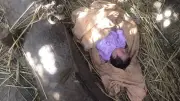 عثور على طفلة رضيعة بجوار عشة بأرض زراعية في الغربية
