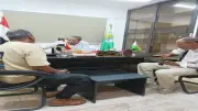 حملات مكبرة للنظافة والتشجير ورصف الشوارع في الجيزة لتحسين الخدمات