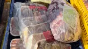 محافظ المنوفية: تحرير 107 محاضر تموينية للمخابز والأسواق في حملة مكثفة