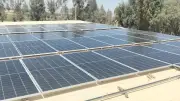 وزارة التنمية المحلية تدعم التحول للاقتصاد الأخضر بالمجتمعات المحلية