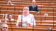 عضو برلماني: المرحلة الحالية تتطلب زيادة الاعتماد على القطاعات الإنتاجية