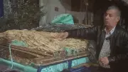 النائب ضياء الدين داوود يحذر من تحويل الدعم العيني إلى نقدي: المجتمع غير مهيأ