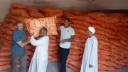 كارت الفلاح والمزادات.. خطة الزراعة الجديدة للقضاء على السوق السوداء وضبط تداول الأسمدة
