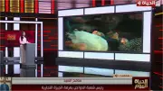 رئيس شعبة الدواجن يدعو لإنشاء بورصة تحت إشراف الدولة لتحقيق العدالة للمستهلك والمنتج